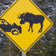 Illustration for article titled The ten weirdest road signs